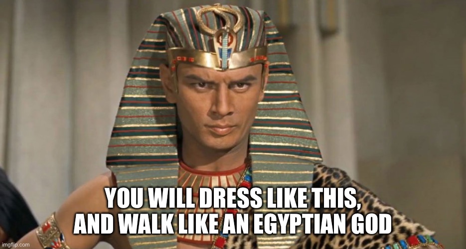 pharoah | YOU WILL DRESS LIKE THIS, AND WALK LIKE AN EGYPTIAN GOD | image tagged in pharoah | made w/ Imgflip meme maker