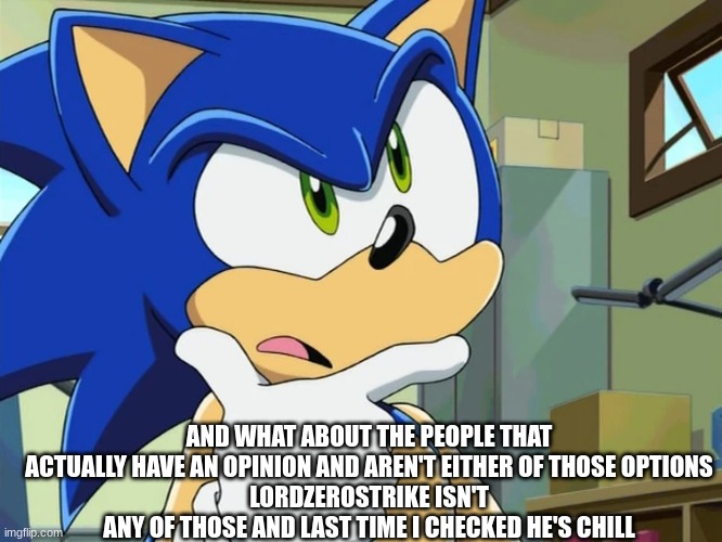 sonic confused | AND WHAT ABOUT THE PEOPLE THAT ACTUALLY HAVE AN OPINION AND AREN'T EITHER OF THOSE OPTIONS
LORDZEROSTRIKE ISN'T ANY OF THOSE AND LAST TIME I | image tagged in sonic confused | made w/ Imgflip meme maker