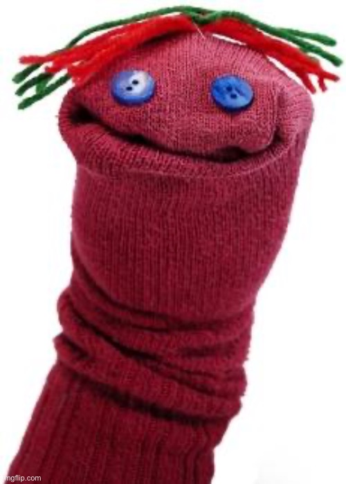 This is bob, he chill. | image tagged in sock puppet | made w/ Imgflip meme maker