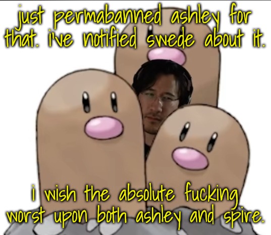 Markiplier | just permabanned ashley for that. i've notified swede about it. i wish the absolute fucking worst upon both ashley and spire. | image tagged in markiplier | made w/ Imgflip meme maker