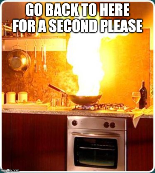 fire kitchen | GO BACK TO HERE FOR A SECOND PLEASE | image tagged in fire kitchen | made w/ Imgflip meme maker