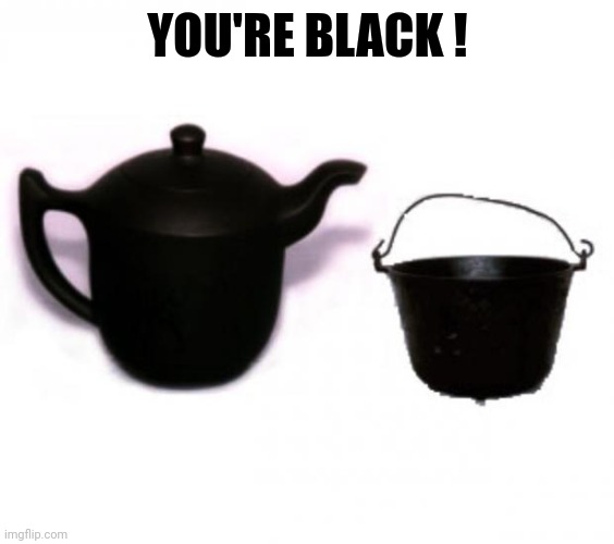 Pot and kettle | YOU'RE BLACK ! | image tagged in pot and kettle | made w/ Imgflip meme maker