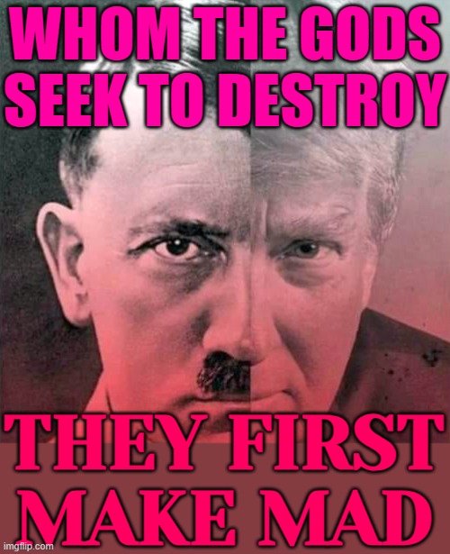 "Whom The Gods Seek To Destroy, They First Make Mad" | WHOM THE GODS SEEK TO DESTROY; THEY FIRST
MAKE MAD | image tagged in hitler trump fascist racist dictator,donald trump,adolf hitler,trump is a moron,philosophy,inspirational quote | made w/ Imgflip meme maker