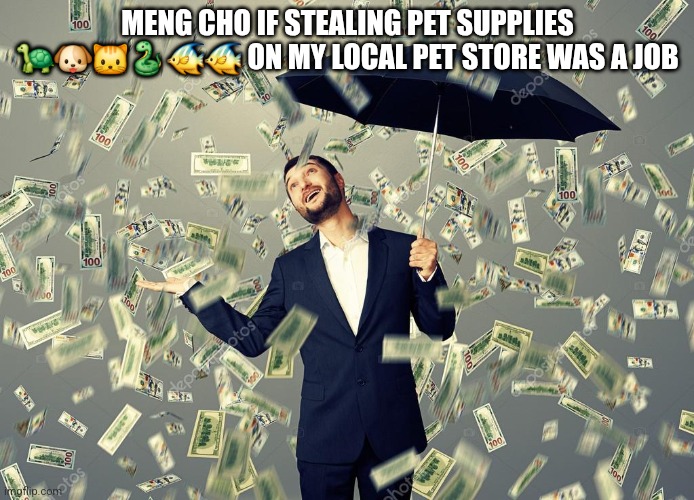 I hate meng cho's greed | MENG CHO IF STEALING PET SUPPLIES 🐢🐶🐱🐍🐠🐠 ON MY LOCAL PET STORE WAS A JOB | image tagged in rich main raining money | made w/ Imgflip meme maker