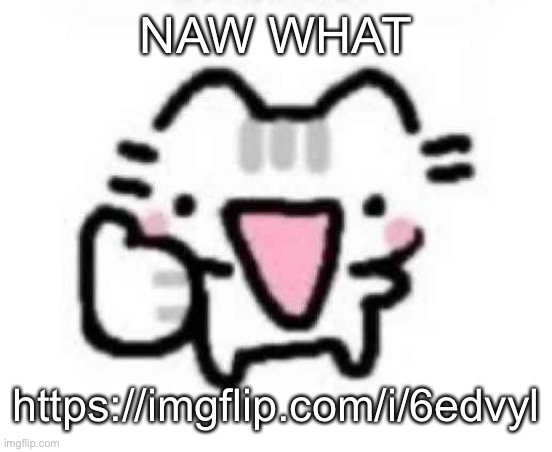silly cat thumbs up | NAW WHAT; https://imgflip.com/i/6edvyl | image tagged in silly cat thumbs up | made w/ Imgflip meme maker
