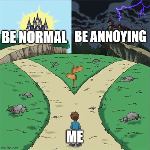 Two Paths | BE ANNOYING; BE NORMAL; ME | image tagged in two paths | made w/ Imgflip meme maker