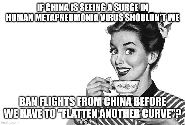 You know, like we didn't do last time? | IF CHINA IS SEEING A SURGE IN HUMAN METAPNEUMONIA VIRUS SHOULDN'T WE; BAN FLIGHTS FROM CHINA BEFORE WE HAVE TO "FLATTEN ANOTHER CURVE"? | image tagged in 1950s housewife | made w/ Imgflip meme maker