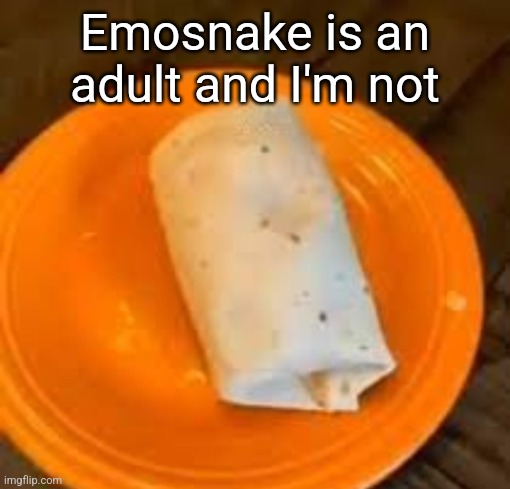 JimmyHere Burrito | Emosnake is an adult and I'm not | image tagged in jimmyhere burrito | made w/ Imgflip meme maker