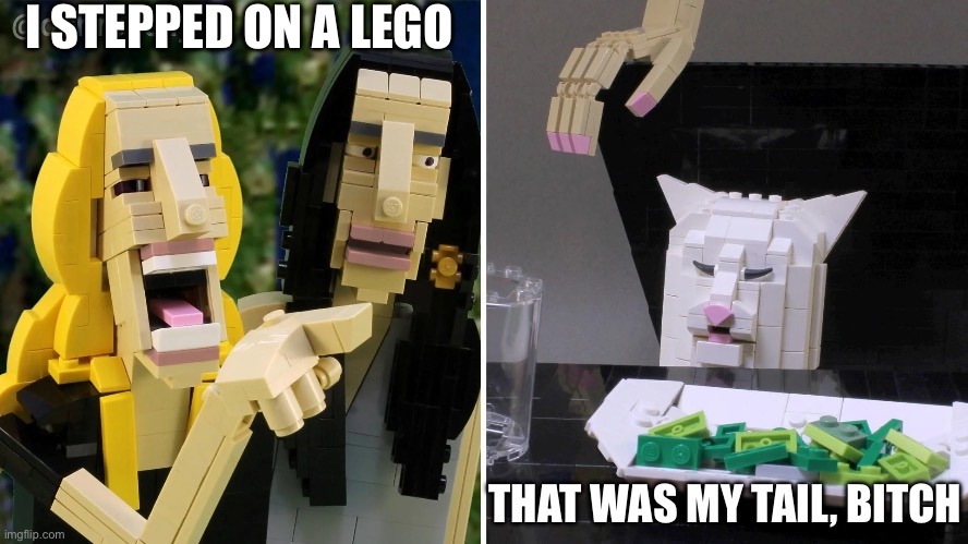 Karen Steps on a Lego | I STEPPED ON A LEGO; THAT WAS MY TAIL, BITCH | image tagged in lego,karen,smudge the cat,woman yelling at smudge the cat | made w/ Imgflip meme maker