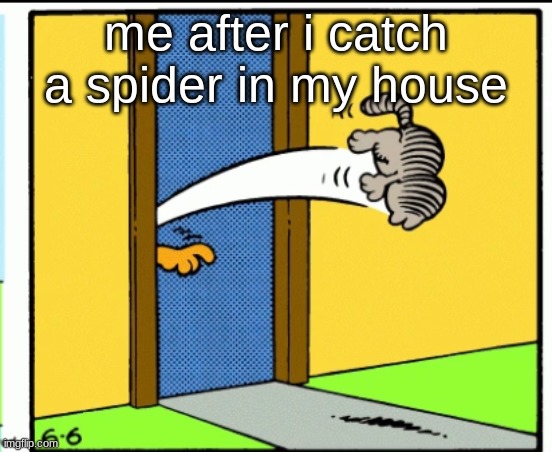 throwing a spider out your house | me after i catch a spider in my house | image tagged in nermal gets kicked out | made w/ Imgflip meme maker