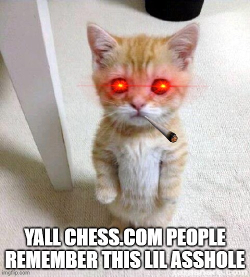 mittens | YALL CHESS.COM PEOPLE REMEMBER THIS LIL ASSHOLE | image tagged in memes,cute cat | made w/ Imgflip meme maker