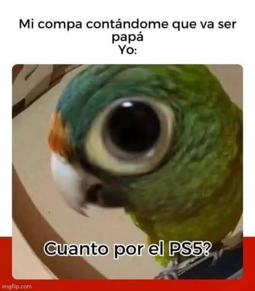 9fynso.jpg
