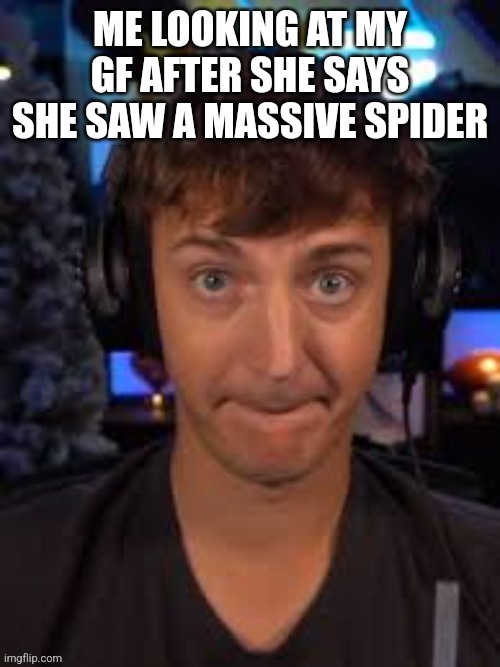 Massive | ME LOOKING AT MY GF AFTER SHE SAYS SHE SAW A MASSIVE SPIDER | image tagged in massive | made w/ Imgflip meme maker