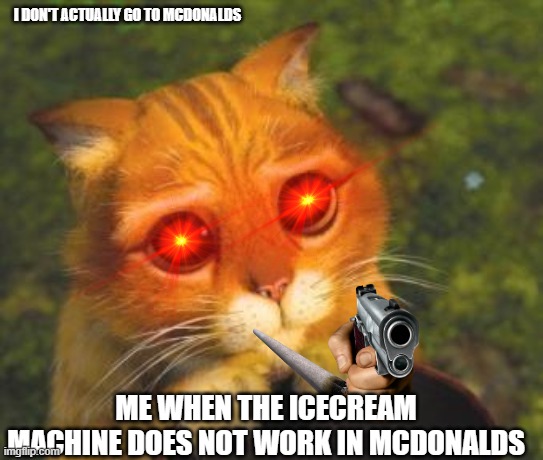 cute cat from shrek | I DON'T ACTUALLY GO TO MCDONALDS; ME WHEN THE ICECREAM MACHINE DOES NOT WORK IN MCDONALDS | image tagged in cute cat from shrek | made w/ Imgflip meme maker