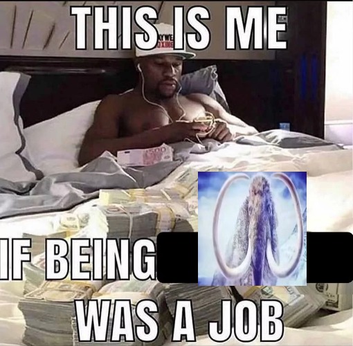 This is me If being X was a job | image tagged in this is me if being x was a job | made w/ Imgflip meme maker