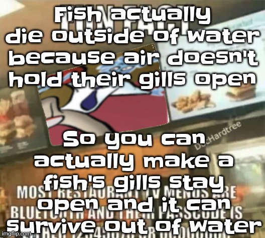 Wouldn't recommend tho | So you can actually make a fish's gills stay open and it can survive out of water; Fish actually die outside of water because air doesn't hold their gills open | image tagged in fun fact | made w/ Imgflip meme maker