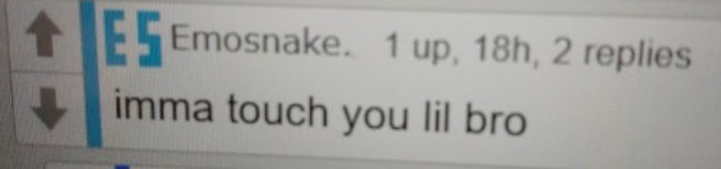 this is the comment that started it all | image tagged in imma touch you lil bro | made w/ Imgflip meme maker