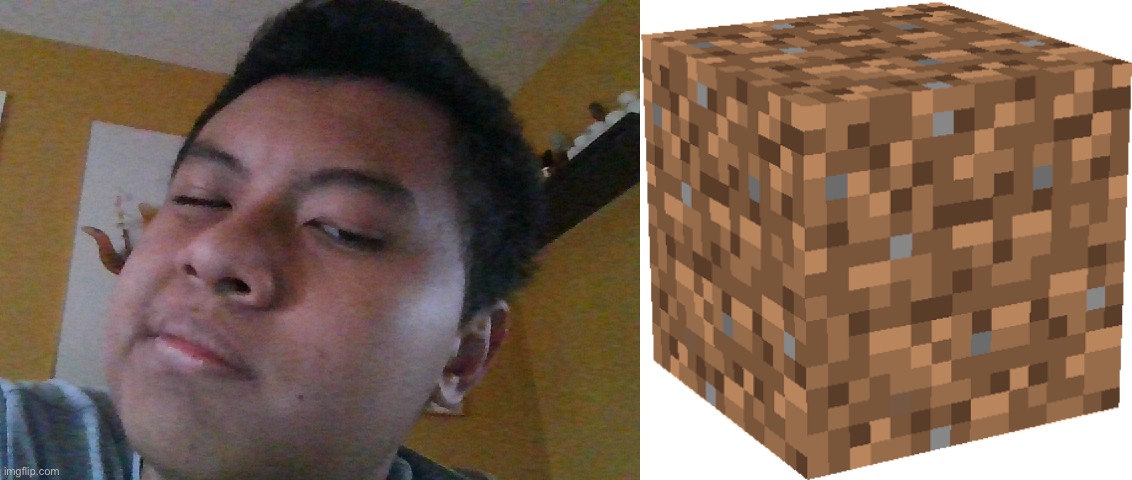 Guys, I have a theory. | image tagged in ethan go bro,minecraft dirt block | made w/ Imgflip meme maker