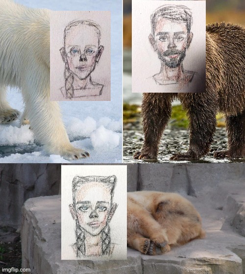 Climate Change Is Causing Polar and Grizzly Bear Hybrids | image tagged in interacial,white,brown,drawings,pizzly bear | made w/ Imgflip meme maker