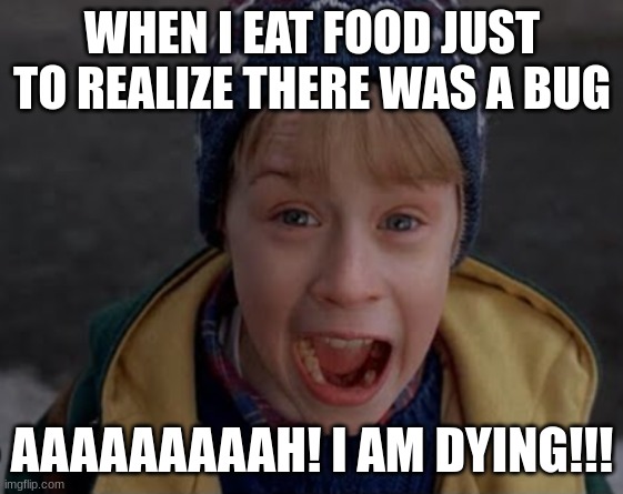 When I Eat Food Just To Realize There was a Bug | WHEN I EAT FOOD JUST TO REALIZE THERE WAS A BUG; AAAAAAAAAH! I AM DYING!!! | image tagged in kevin mccallister screaming | made w/ Imgflip meme maker