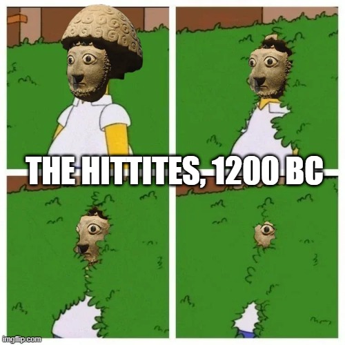 Vanished | THE HITTITES, 1200 BC | image tagged in history | made w/ Imgflip meme maker