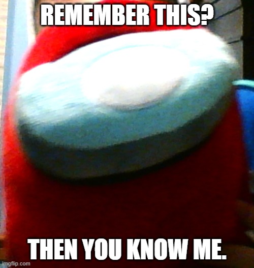 hug my plush | REMEMBER THIS? THEN YOU KNOW ME. | image tagged in hug my plush | made w/ Imgflip meme maker