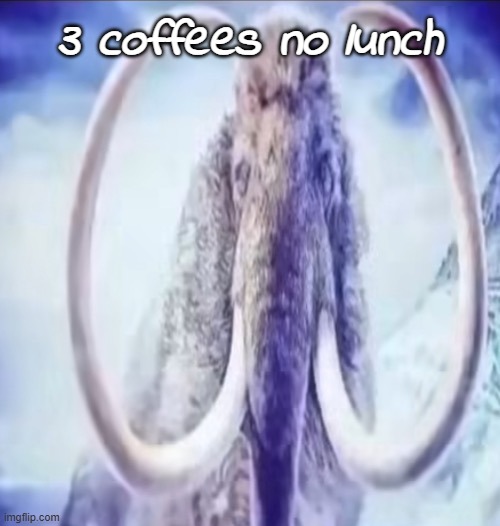 3 coffees, no lunch 3 coffees, no lunch 3 coffees, no lunch 3 coffees, no lunch 3 coffees, no lunch 3 coffees, no lunch 3 coffee | 3 coffees no lunch | image tagged in mammoth | made w/ Imgflip meme maker