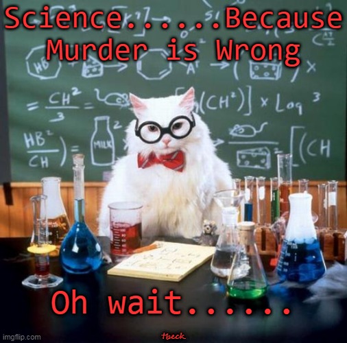 Chemistry Cat | Science......Because Murder is Wrong; Oh wait...... tbeck | image tagged in memes,chemistry cat | made w/ Imgflip meme maker