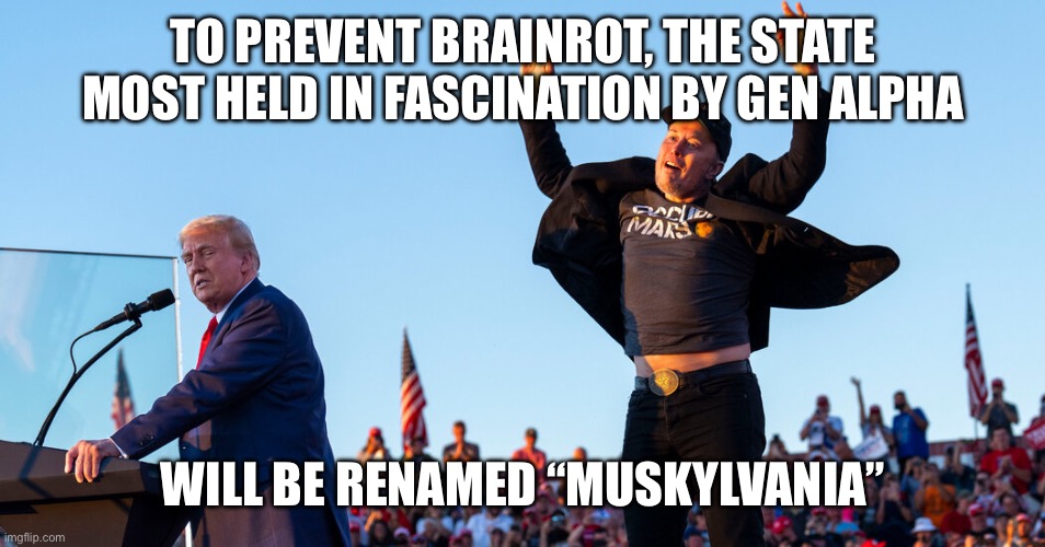 Fake news | TO PREVENT BRAINROT, THE STATE MOST HELD IN FASCINATION BY GEN ALPHA; WILL BE RENAMED “MUSKYLVANIA” | image tagged in elon musk,brainrot | made w/ Imgflip meme maker