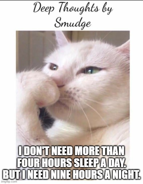 Sleep | I DON'T NEED MORE THAN FOUR HOURS SLEEP A DAY. BUT I NEED NINE HOURS A NIGHT. | image tagged in smudge | made w/ Imgflip meme maker