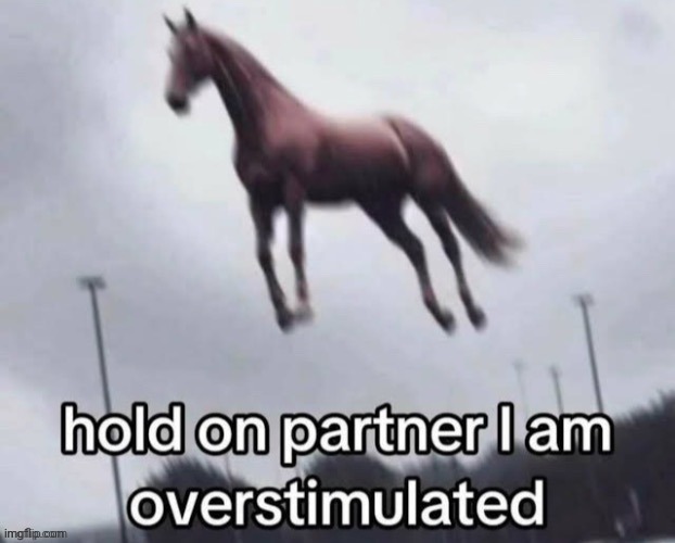 hold on partner i am overstimulated | image tagged in hold on partner i am overstimulated | made w/ Imgflip meme maker