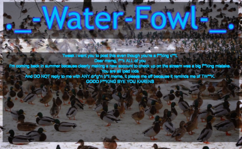 WaterFowl Announcement temp | Tweak i want you to post this even though you're a f**king c**t.

Dear msmg, f**k ALL of you
I'm coming back in summer because clearly making a new account to check up on the stream was a big f**king mistake.
You are all ipad kids
And DO NOT reply to me with ANY dr*g*n b*ll meme, it pisses me off because it reminds me of TW**K.
GOOD F**KING BYE YOU KARENS | image tagged in waterfowl announcement temp | made w/ Imgflip meme maker