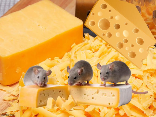 Cheese | image tagged in cheese | made w/ Imgflip meme maker