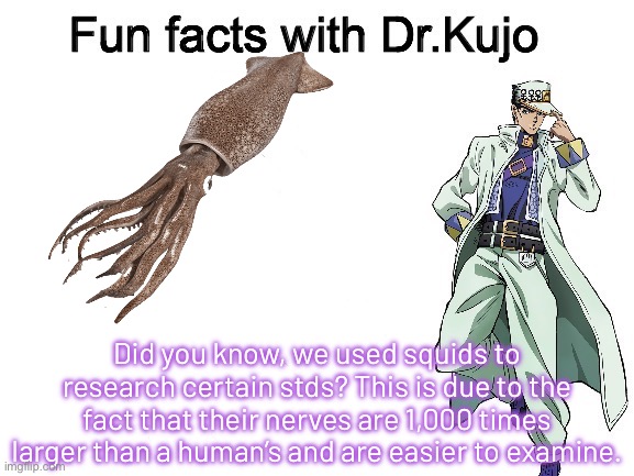 It’s true | Did you know, we used squids to research certain stds? This is due to the fact that their nerves are 1,000 times larger than a human’s and are easier to examine. | image tagged in fun facts with dr kujo,jojo's bizarre adventure | made w/ Imgflip meme maker