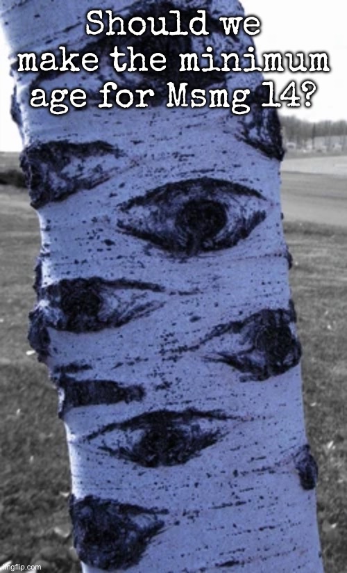 So newgen know they should not come here | Should we make the minimum age for Msmg 14? | image tagged in what a nice tree,msmg | made w/ Imgflip meme maker