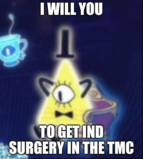 Content Bill Cipher | I WILL YOU; TO GET IND SURGERY IN THE TMC | image tagged in content bill cipher | made w/ Imgflip meme maker