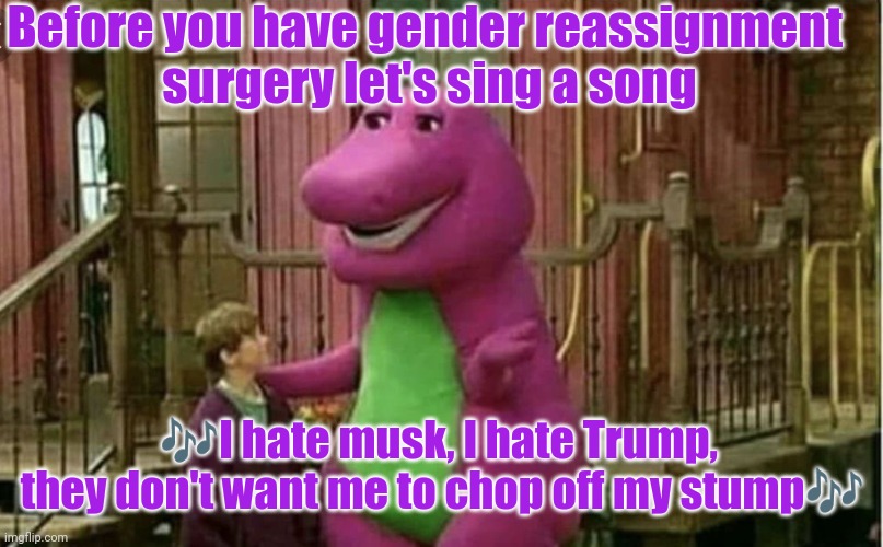 Barney te llama tu mama | Before you have gender reassignment 
surgery let's sing a song ?I hate musk, I hate Trump, 
they don't want me to chop off my stump? | image tagged in barney te llama tu mama | made w/ Imgflip meme maker