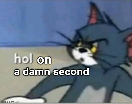 Hol up | on a damn second | image tagged in hol up | made w/ Imgflip meme maker