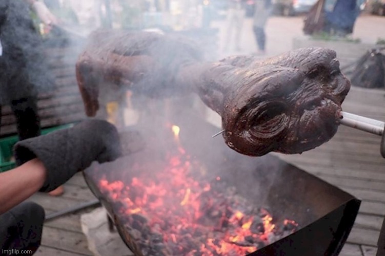 Alien bbq | image tagged in alien bbq | made w/ Imgflip meme maker