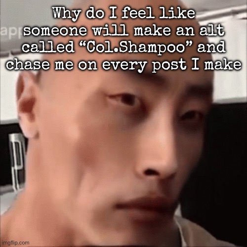 da chinese wok | Why do I feel like someone will make an alt called “Col.Shampoo” and chase me on every post I make | image tagged in da chinese wok,msmg | made w/ Imgflip meme maker
