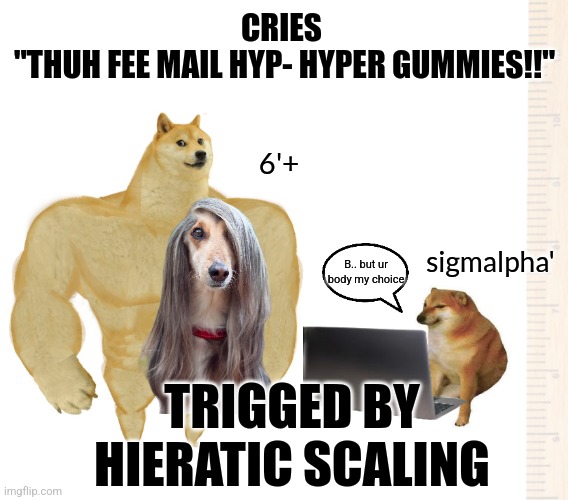 Shhh. Shhh. Daddies are gonna make it aalll better soon | CRIES 
"THUH FEE MAIL HYP- HYPER GUMMIES!!"; 6'+; sigmalpha'; B.. but ur body my choice; TRIGGED BY HIERATIC SCALING | image tagged in banned,humor,women rights | made w/ Imgflip meme maker