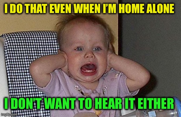 Too much Noise | I DO THAT EVEN WHEN I’M HOME ALONE I DON’T WANT TO HEAR IT EITHER | image tagged in too much noise | made w/ Imgflip meme maker