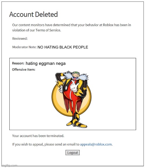 banned from ROBLOX | NO HATING BLACK PEOPLE hating eggman nega | image tagged in banned from roblox | made w/ Imgflip meme maker