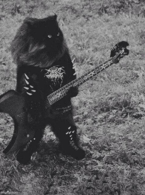 Black Metal Cat | image tagged in black metal cat | made w/ Imgflip meme maker