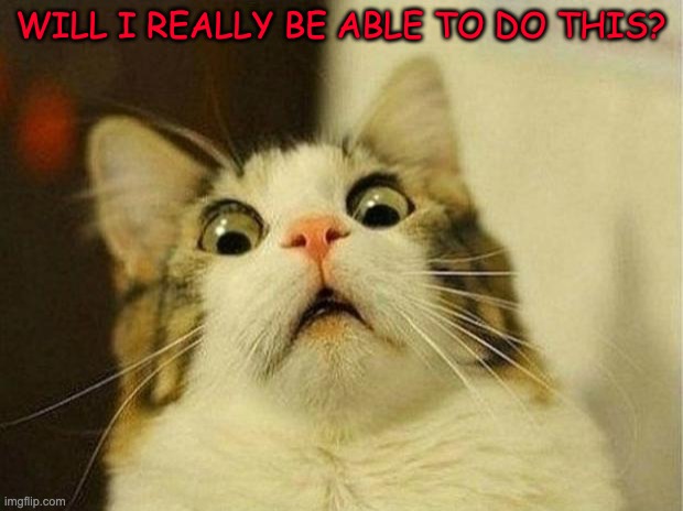 Scared Cat | WILL I REALLY BE ABLE TO DO THIS? | image tagged in memes,scared cat | made w/ Imgflip meme maker