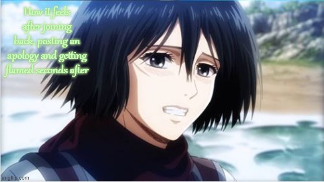 ? | How it feels after joining back, posting an apology and getting flamed seconds after | image tagged in bittersweet smile mikasa | made w/ Imgflip meme maker