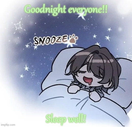 Honk shoo time! | Goodnight everyone!! Sleep well! | image tagged in snooze | made w/ Imgflip meme maker