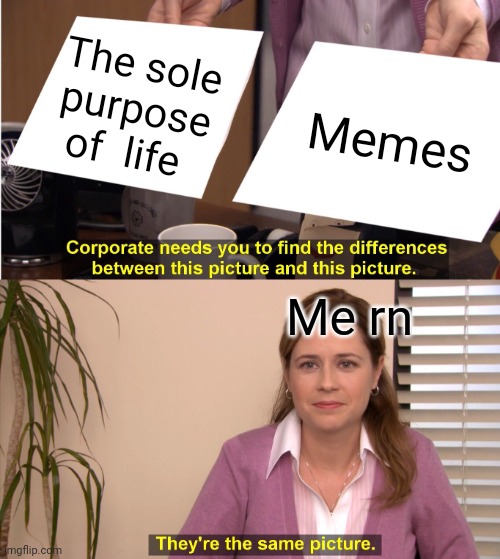 Yes | The sole purpose of  life; Memes; Me rn | image tagged in memes,they're the same picture,memes about memes | made w/ Imgflip meme maker