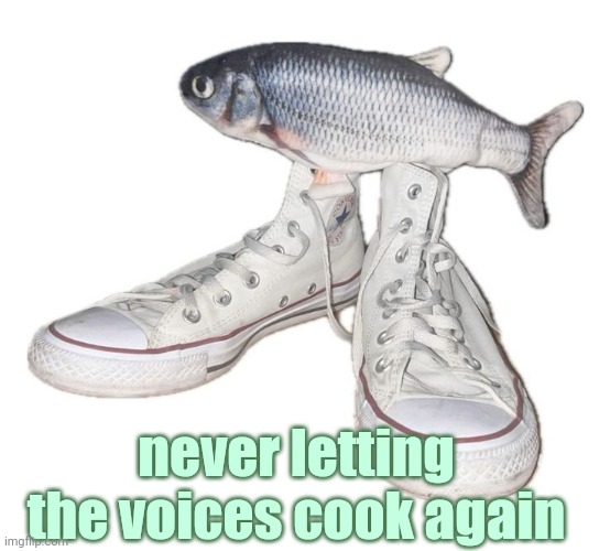 fihs | never letting the voices cook again | image tagged in fihs | made w/ Imgflip meme maker