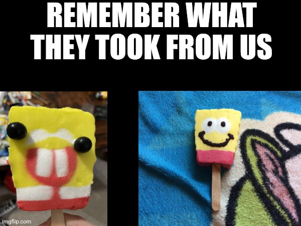 Spongebob Popsicle VS Spunchboob Sockpickle | REMEMBER WHAT THEY TOOK FROM US | image tagged in memes,images,spongebob,funny | made w/ Imgflip meme maker